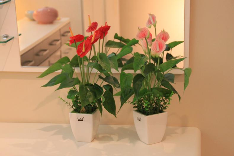 花卉綠植租賃中不同場(chǎng)合有不同效果