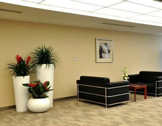 花卉綠植租擺的雷區有哪些呢？