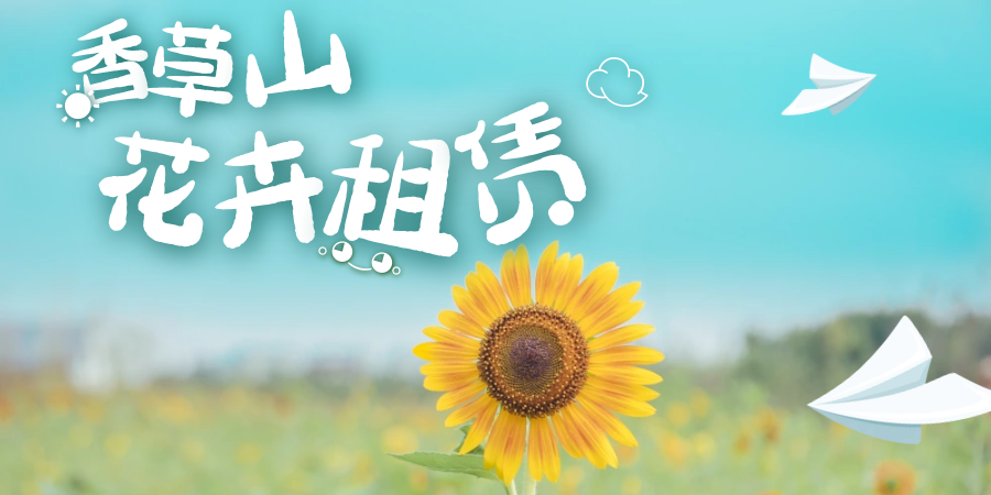 30種常見(jiàn)植物的養護辦法